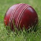 ICC agrees new 2011 World cup schedule 