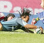 Bulls hammer Cheetahs