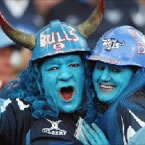 Blue_Bulls_Fan1.jpg