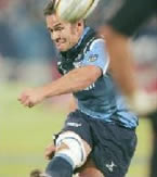 Blue Bulls release Hougaard to Leicester Tigers 