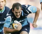 Fourie Du Preez commits to Bulls until 2010