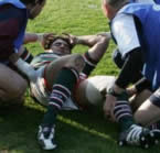 Tigers sign French Scrum-Half 