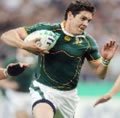 Jaque Fourie returns for the Lions