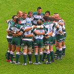 Leicester Tigers Champions
