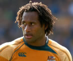 Tuqiri and Giteau rate Springbok backs