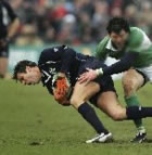 Medical condition ends Di Rollo's time with Toulouse