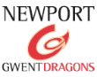 Major signings breathe fire into the Dragons 