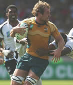 Wallabies walking wounded recovering well