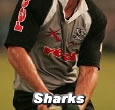 Sharks were distracted by Bok selections