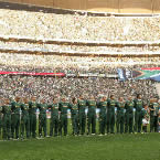 Springbok World Cup victory will pay millions