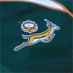 Springbok Rugby team to switch 'divisive' Springbok emblem