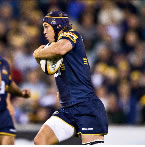 Hoiles hoping for Wallaby recall