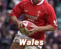 Wales to regulate players agents