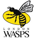 Wasps reveal new management structure