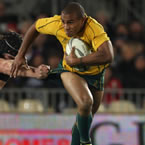 All Blacks are terrified of facing Genia at RWC
